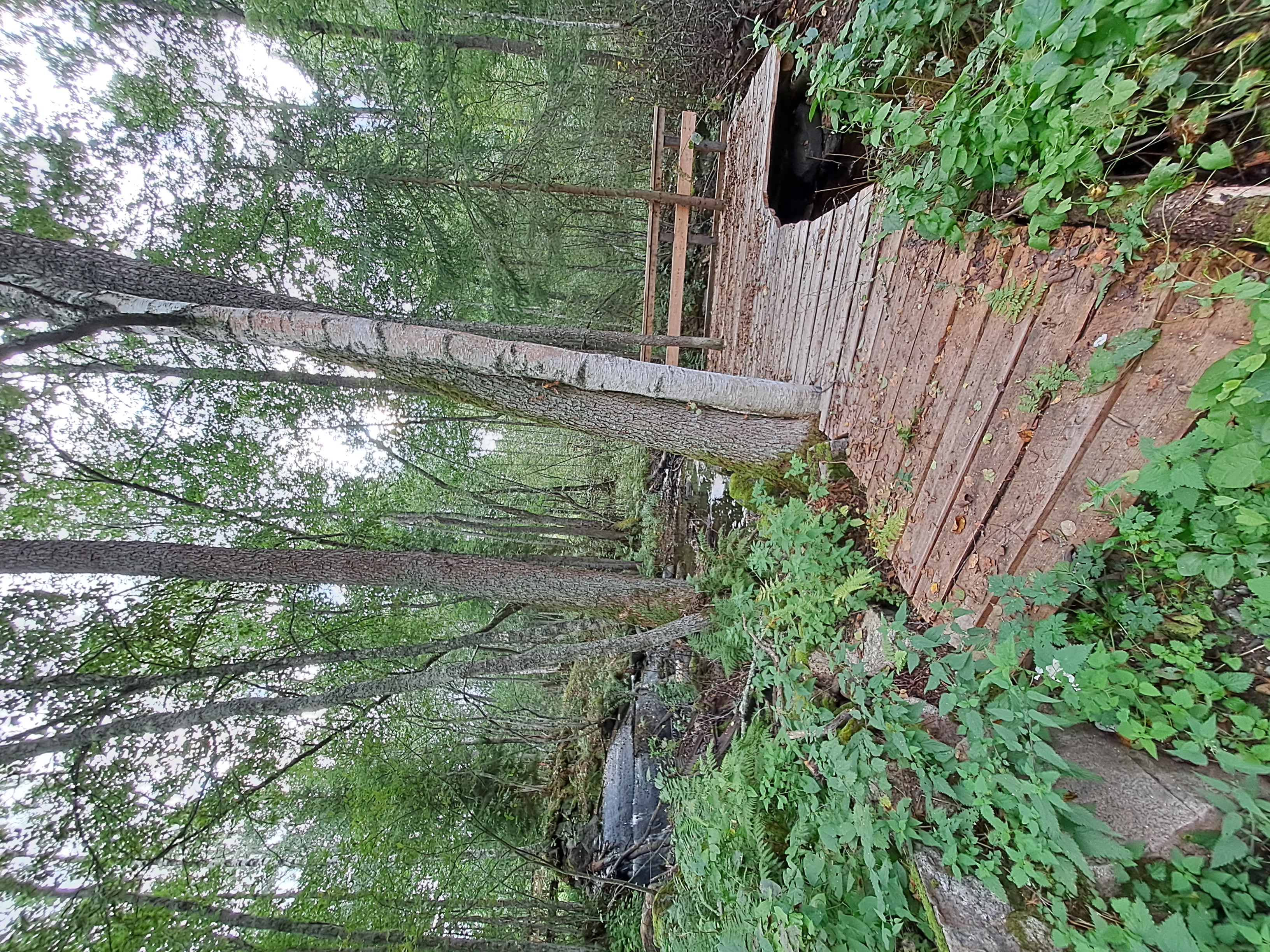 Puulaituri joen varrella metsässä